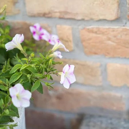 Alloggio per agriturismo Le Giustizie *